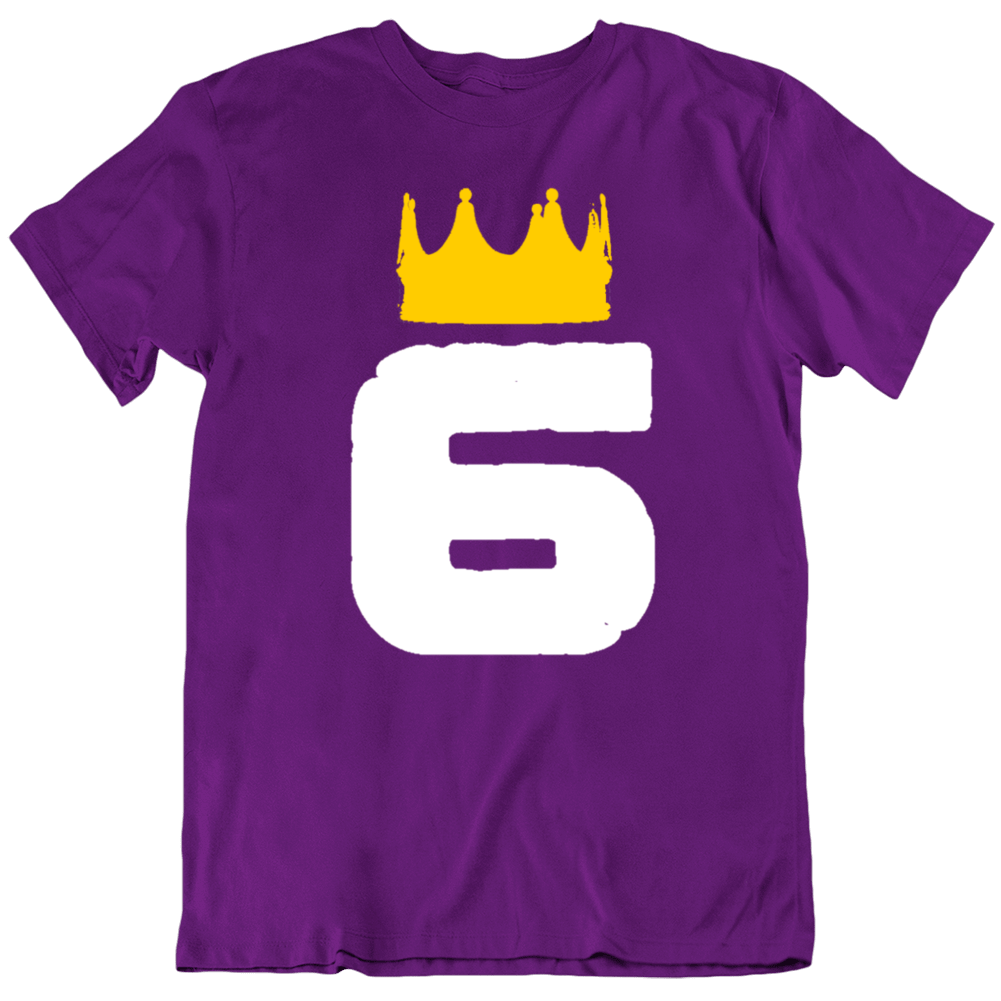 lebron 6 t shirt